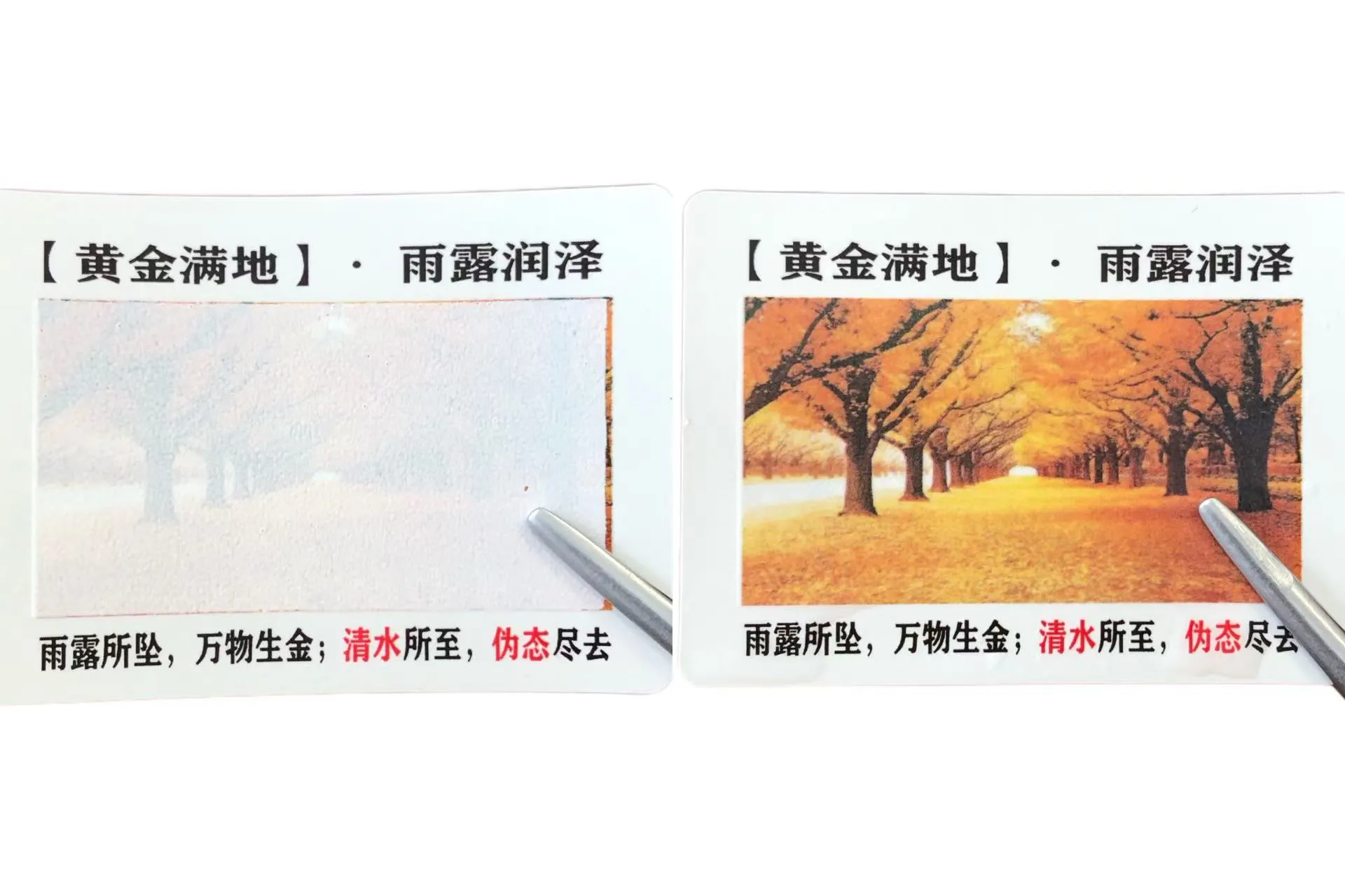 An eol duit lipéid íogaire uisce a athrú datha?